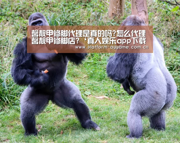 馨靓甲修脚代理是真的吗?怎么代理馨靓甲修脚店?‘真人娱乐app下载’(图4) AG真人官方