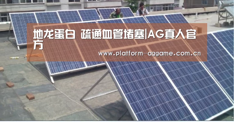 地龙蛋白 疏通血管堵塞|AG真人官方(图3) AG真人平台