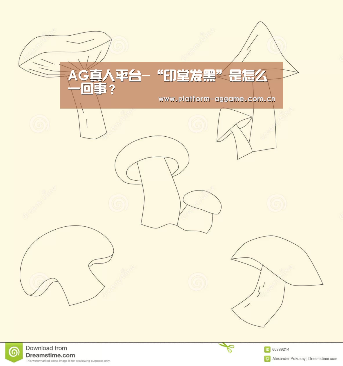 AG真人官方